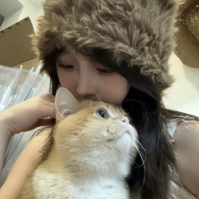 奇怪的猫咪